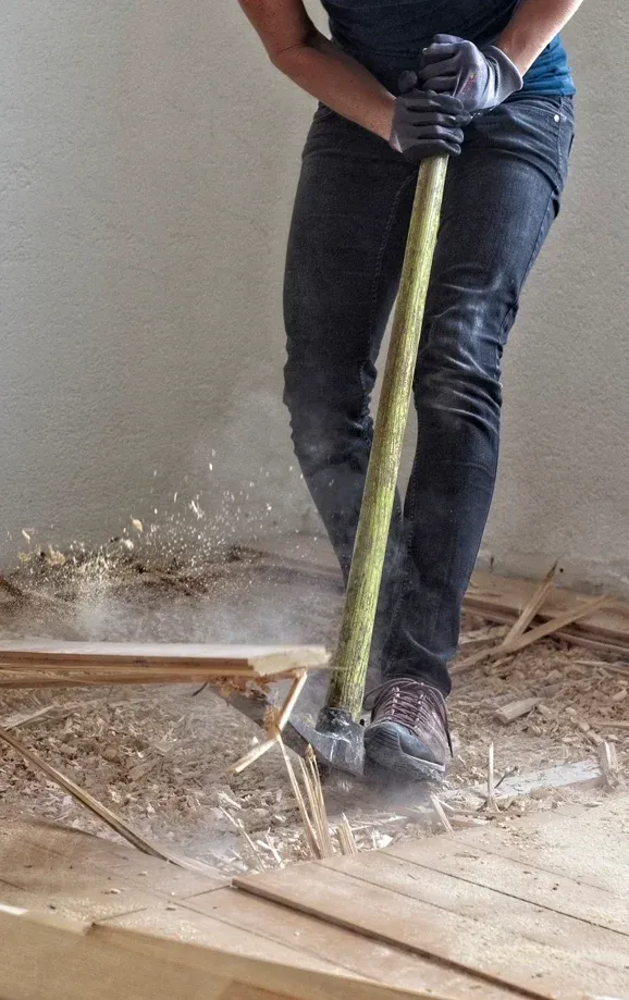 Renovation Saugey